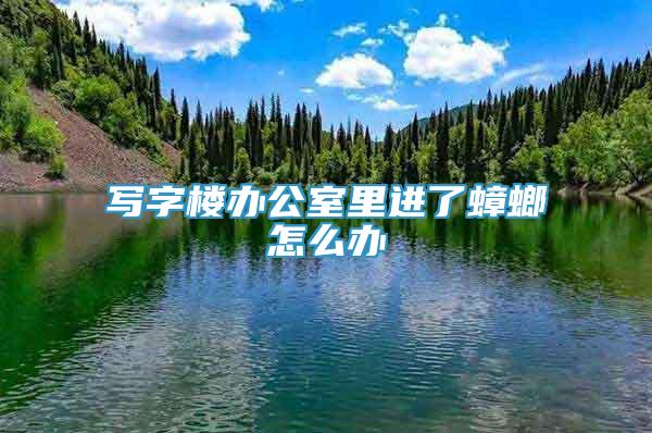 寫字樓辦公室里進了蟑螂怎么辦