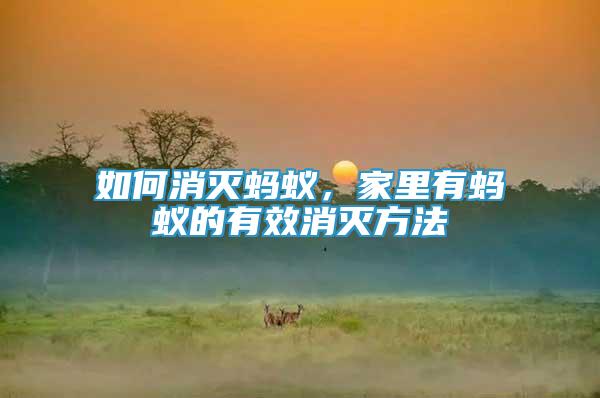 如何消滅螞蟻，家里有螞蟻的有效消滅方法