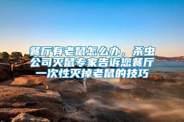 餐廳有老鼠怎么辦，殺蟲公司滅鼠專家告訴您餐廳一次性滅掉老鼠的技巧