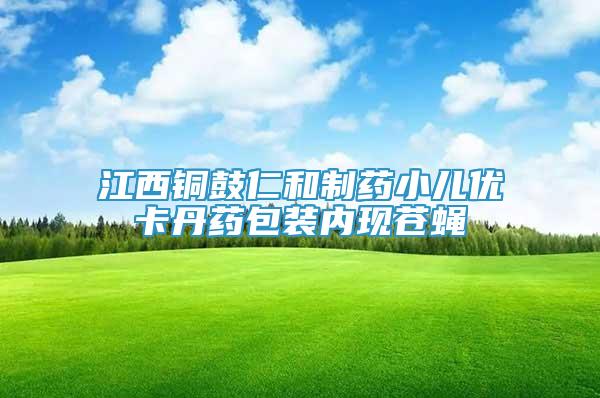 江西銅鼓仁和制藥小兒優(yōu)卡丹藥包裝內(nèi)現(xiàn)蒼蠅