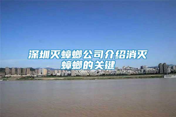 深圳滅蟑螂公司介紹消滅蟑螂的關鍵