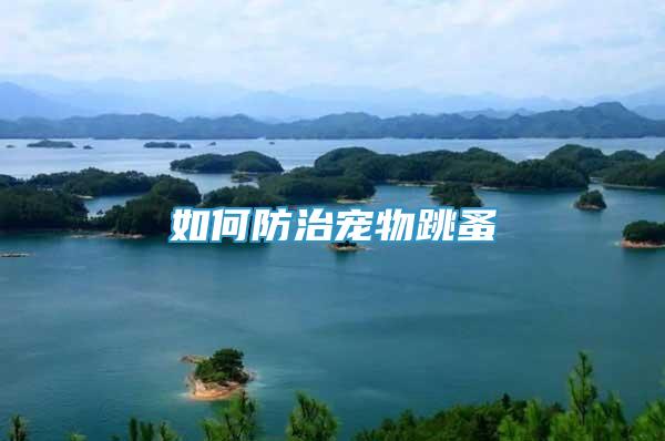 如何防治寵物跳蚤