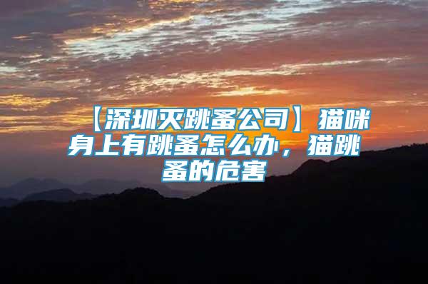 【深圳滅跳蚤公司】貓咪身上有跳蚤怎么辦，貓?zhí)榈奈：?/></p>
             <p style=