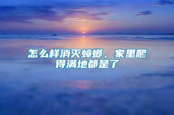 怎么樣消滅蟑螂，家里爬得滿地都是了