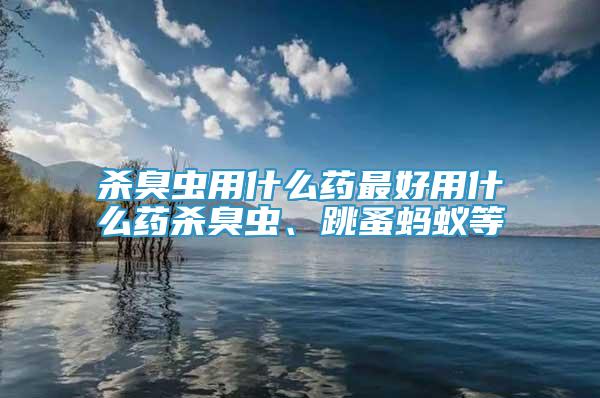 殺臭蟲用什么藥最好用什么藥殺臭蟲、跳蚤螞蟻等