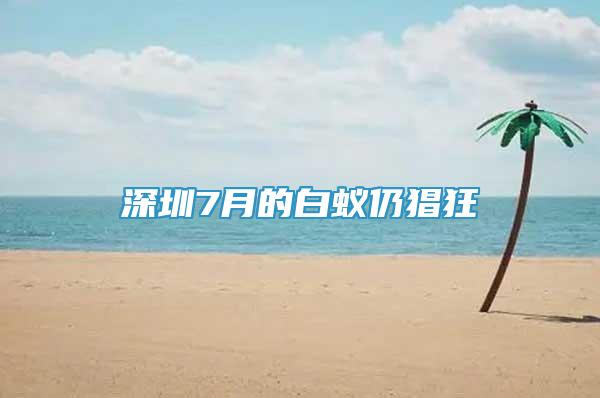 深圳7月的白蟻仍猖狂