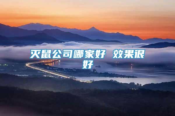 滅鼠公司哪家好 效果很好