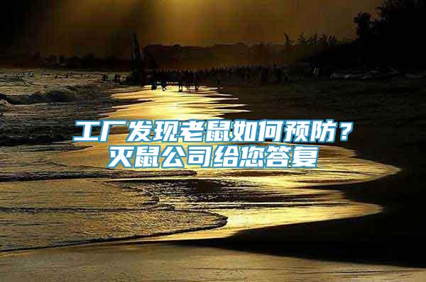工廠發(fā)現(xiàn)老鼠如何預防？滅鼠公司給您答復
