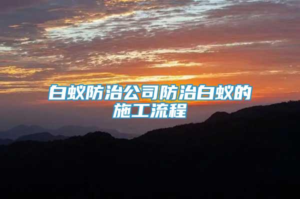 白蟻防治公司防治白蟻的施工流程