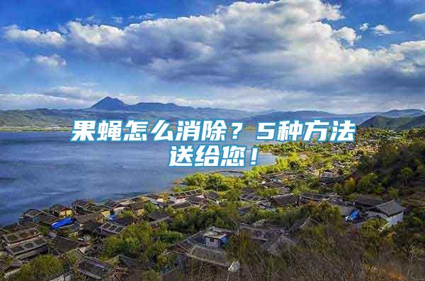 果蠅怎么消除？5種方法送給您！