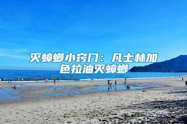 滅蟑螂小竅門：凡士林加色拉油滅蟑螂