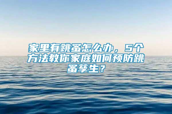 家里有跳蚤怎么辦，5個(gè)方法教你家庭如何預(yù)防跳蚤孳生？
