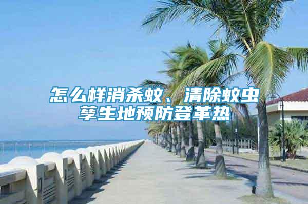 怎么樣消殺蚊、清除蚊蟲孳生地預(yù)防登革熱