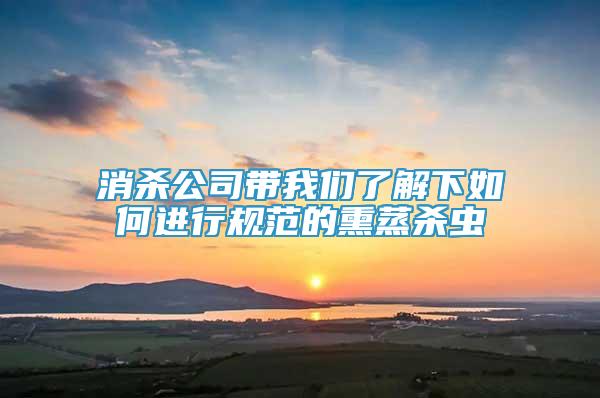 消殺公司帶我們了解下如何進行規(guī)范的熏蒸殺蟲