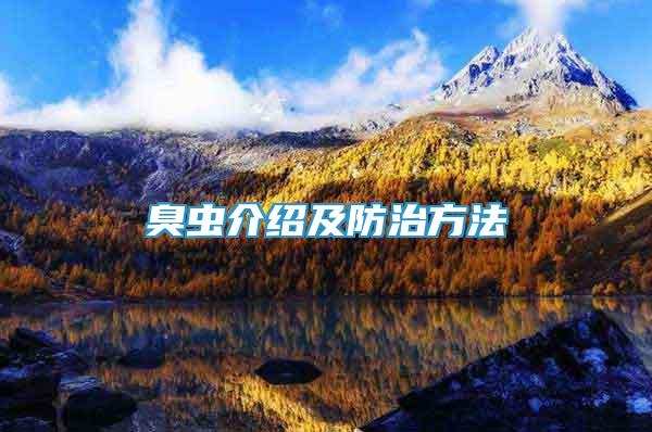 臭蟲介紹及防治方法