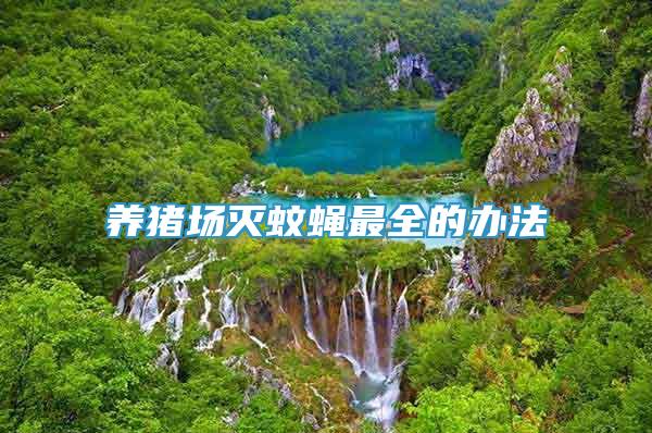 養(yǎng)豬場(chǎng)滅蚊蠅最全的辦法