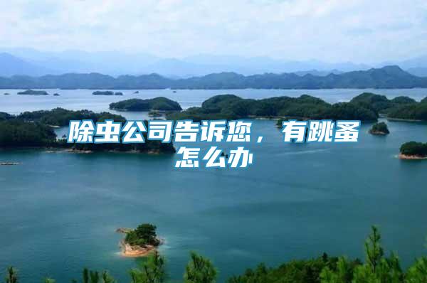 除蟲公司告訴您，有跳蚤怎么辦