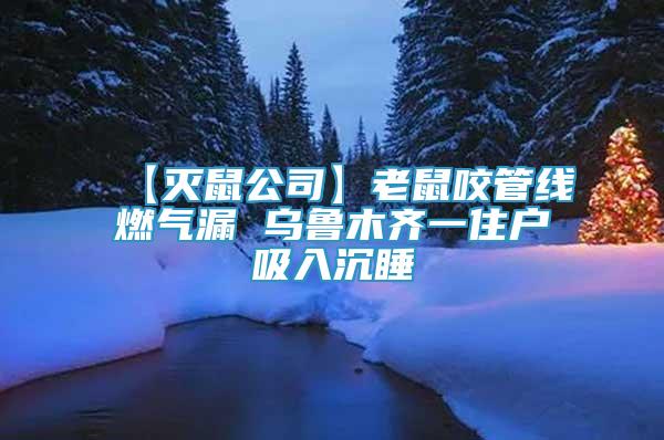 【滅鼠公司】老鼠咬管線燃?xì)饴?烏魯木齊一住戶吸入沉睡