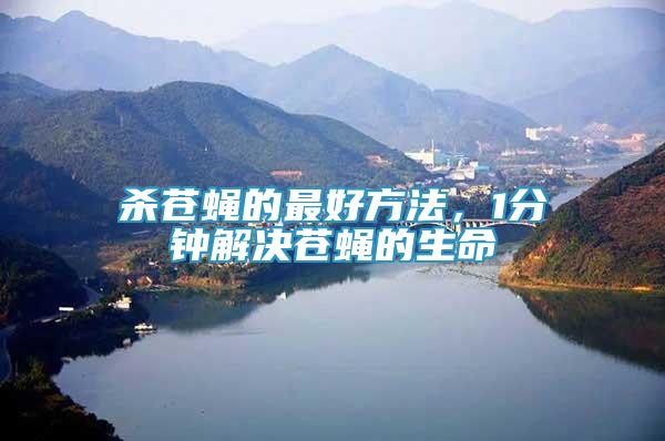 殺蒼蠅的最好方法，1分鐘解決蒼蠅的生命