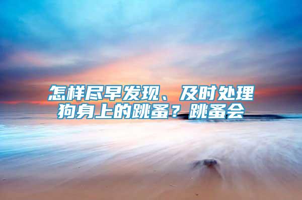 怎樣盡早發(fā)現(xiàn)、及時(shí)處理狗身上的跳蚤？跳蚤會(huì)