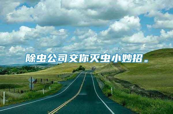 除蟲公司交你滅蟲小妙招。