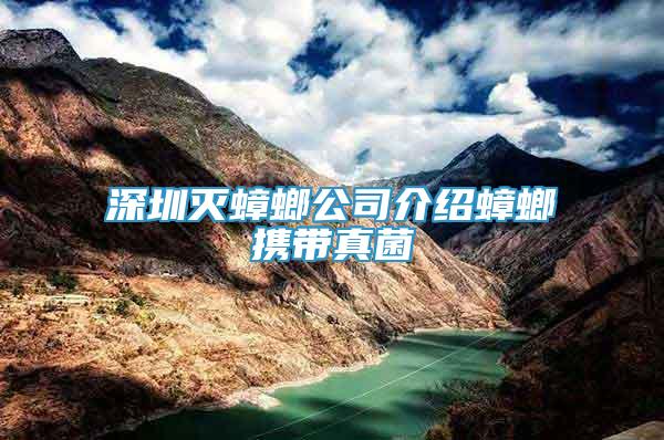 深圳滅蟑螂公司介紹蟑螂攜帶真菌