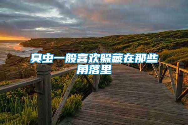 臭蟲(chóng)一般喜歡躲藏在那些角落里