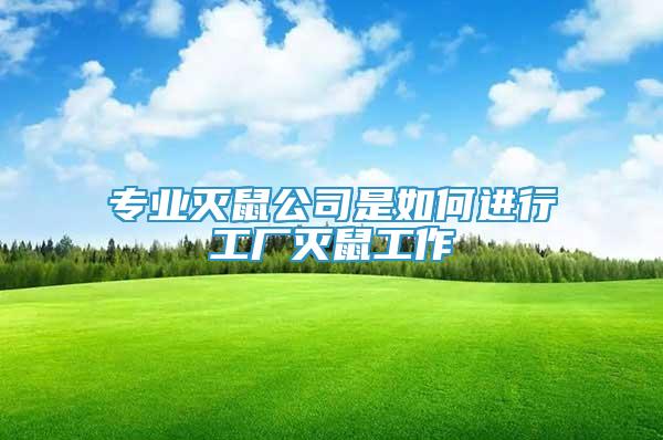 專業(yè)滅鼠公司是如何進(jìn)行工廠滅鼠工作