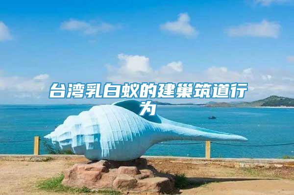 臺灣乳白蟻的建巢筑道行為