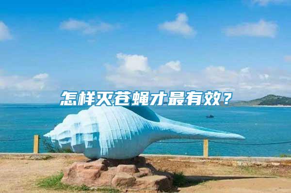 怎樣滅蒼蠅才最有效？