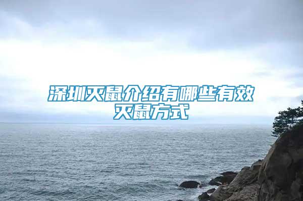 深圳滅鼠介紹有哪些有效滅鼠方式