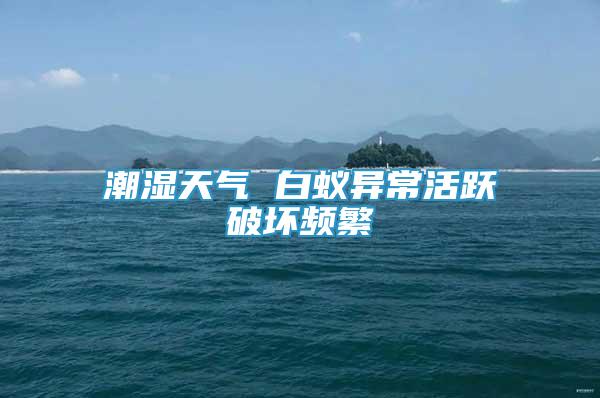 潮濕天氣 白蟻異?；钴S破壞頻繁
