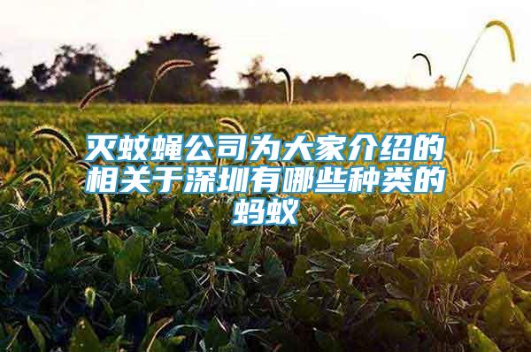 滅蚊蠅公司為大家介紹的相關(guān)于深圳有哪些種類的螞蟻