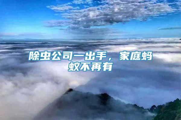 除蟲公司一出手，家庭螞蟻不再有