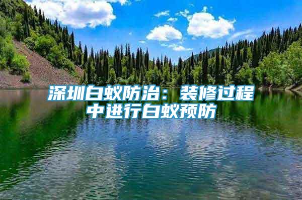 深圳白蟻防治：裝修過程中進行白蟻預(yù)防