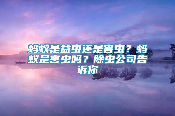螞蟻是益蟲還是害蟲？螞蟻是害蟲嗎？除蟲公司告訴你
