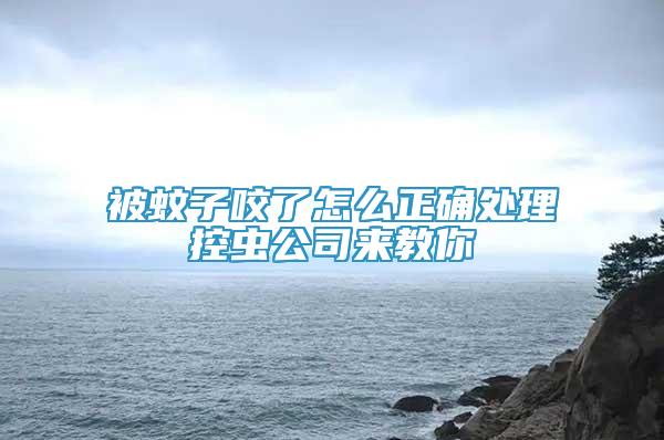 被蚊子咬了怎么正確處理控蟲公司來教你
