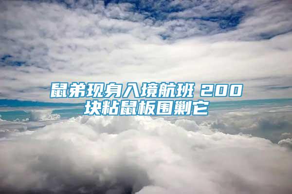 鼠弟現(xiàn)身入境航班　200塊粘鼠板圍剿它