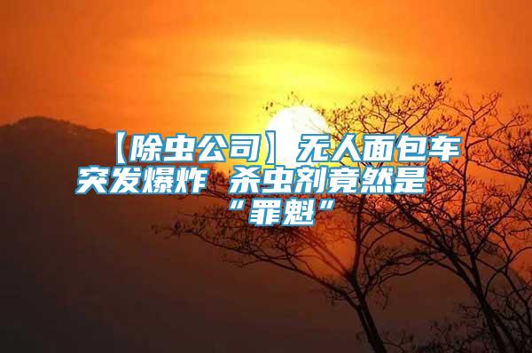 【除蟲公司】無人面包車突發(fā)爆炸 殺蟲劑竟然是“罪魁”