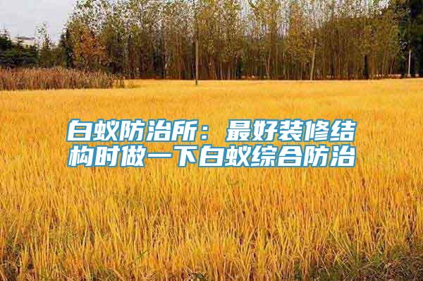 白蟻防治所：最好裝修結(jié)構(gòu)時做一下白蟻綜合防治