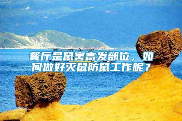 餐廳是鼠害高發(fā)部位，如何做好滅鼠防鼠工作呢？
