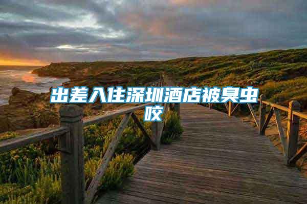 出差入住深圳酒店被臭蟲咬