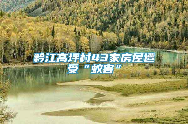 黔江高坪村43家房屋遭受“蟻害”