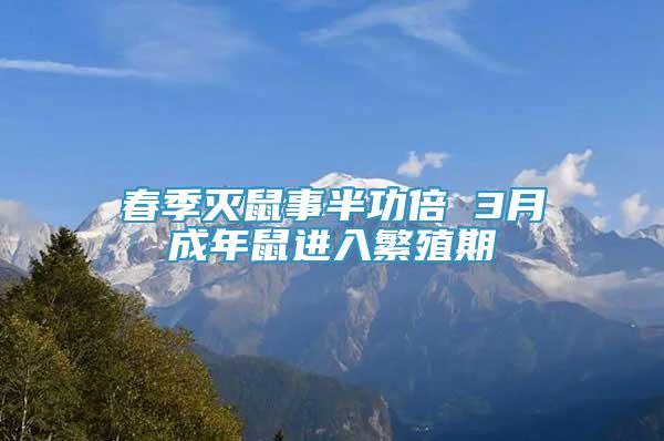 春季滅鼠事半功倍 3月成年鼠進(jìn)入繁殖期