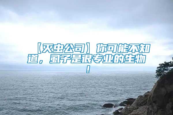 【滅蟲公司】你可能不知道，虱子是很專業(yè)的生物！