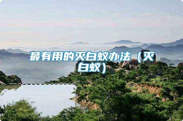 最有用的滅白蟻辦法（滅白蟻）