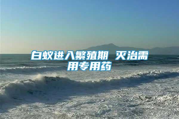 白蟻進(jìn)入繁殖期 滅治需用專用藥