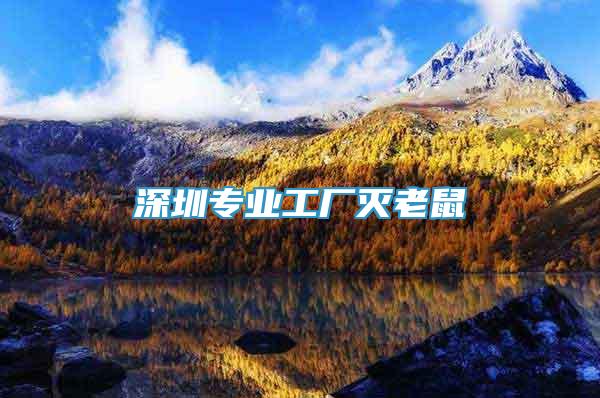 深圳專業(yè)工廠滅老鼠