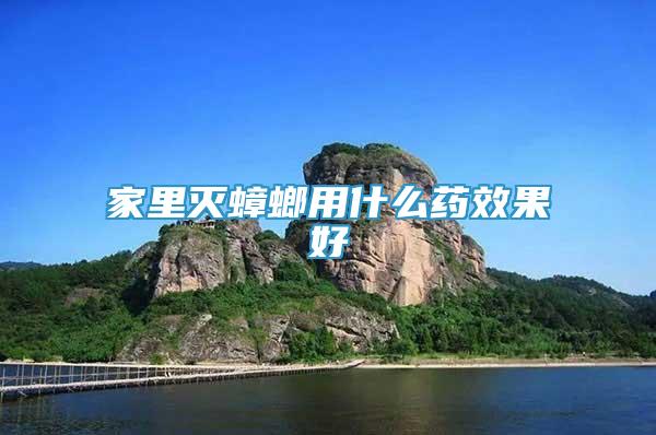 家里滅蟑螂用什么藥效果好