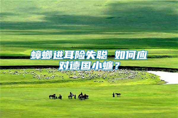 蟑螂進耳險失聰 如何應對德國小蠊？
